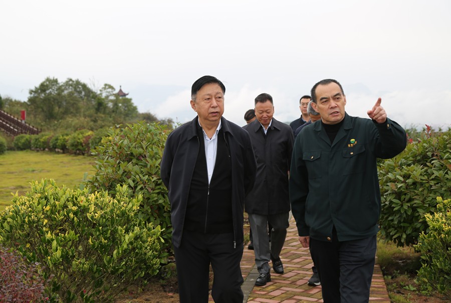 19-2021年10月，原國土資源部副部長汪民蒞臨公司調研。.jpg