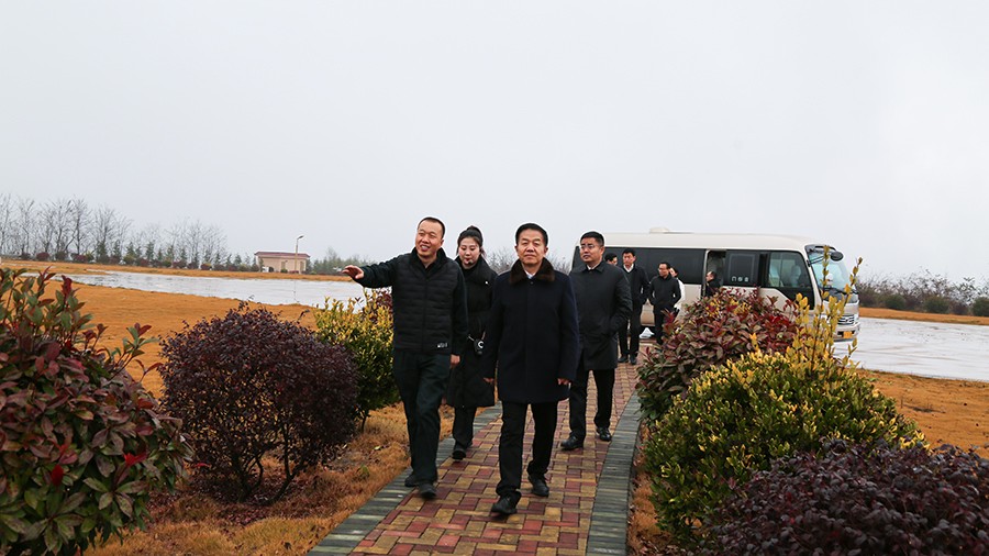 45-2020年12月，省高級人民法院黨組成員、副院長任建國蒞臨金徽股份調研知識產權司法保護工作。.jpg